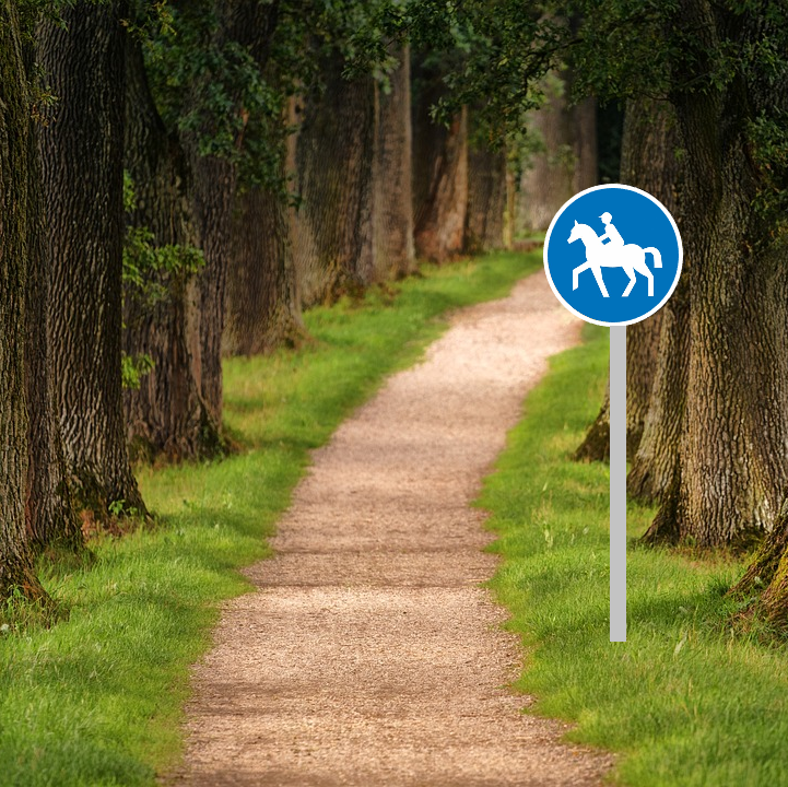 5 comportements du cavalier randonneur respectueux de l'environnement