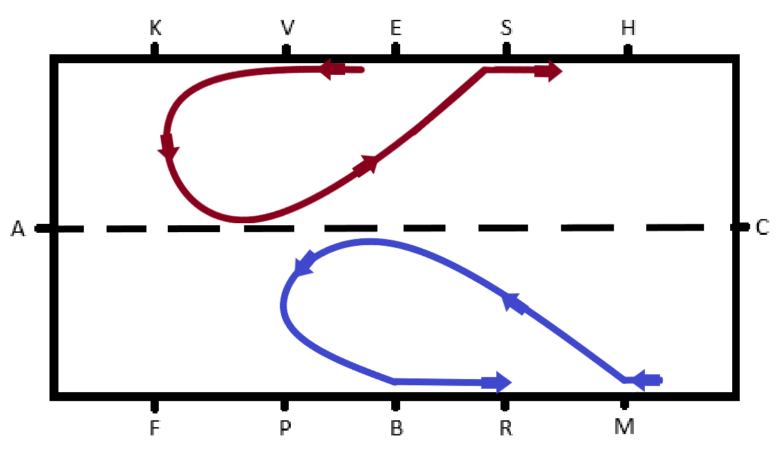 Les figures de manège