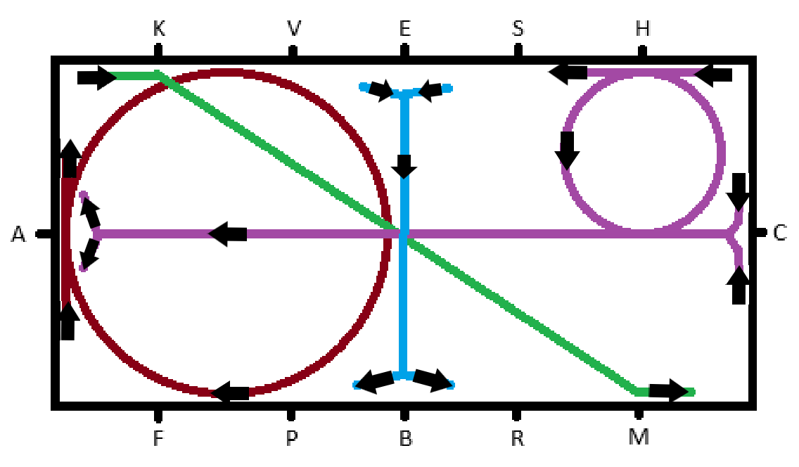 Les figures de manège